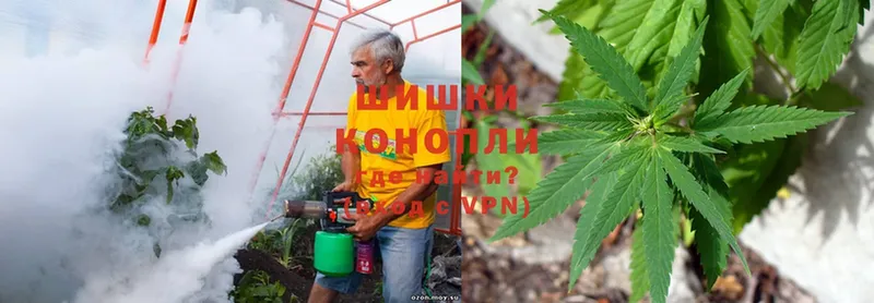 Конопля SATIVA & INDICA  Магадан 